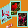 play Scarlet Ibis In The Tropic Island Puzzle
