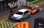 Valet Parking 3D