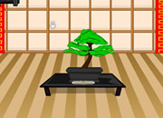 play Hurry And Escape: The Dojo