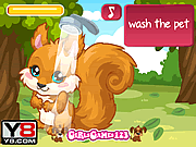 play Squirrel Care