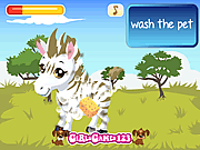 play Zebra Care