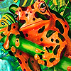 play Orange Spotted Frog Puzzle