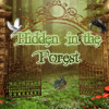 play Hidden In The Forest