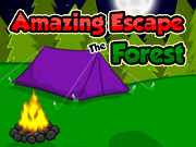 Amazing Escape The Forest