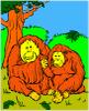 play Gorillas Coloring