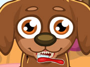 play Cute Care Puppy