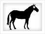 play The Impossible Quiz