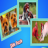 play Lovely Dog Couples Puzzle