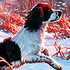 play Speedy Sheepdog Puzzle