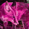 play Fantastic Pink Foxes Puzzle