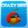 play Crazy Bird