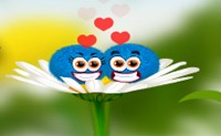 play Colorful Pairs