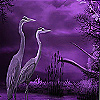 play Pelicans On The Moonlight Puzzle