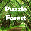 play Puzzle Forest Escape