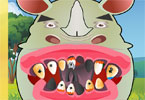Rhino Tooth Problems