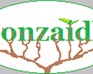 play Bonzaidle