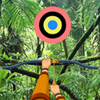 play Hidden Targets-Jungle