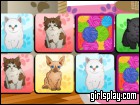 play Cats Memo