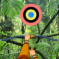 play Hidden Targets-Jungle