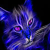 play Fantasy Blue Cat Puzzle