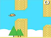 play Flappy Doge