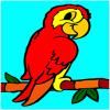 play Parrot Coloring