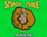 Smack Mole Arcade