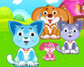 play Delightful Pet Care