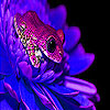 play Purple Frog On The Flower Puzzle