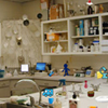 play Clinical Laboratory Objects