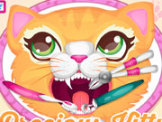play Precious Kitty Dentist