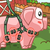 play Piggy Pet Care