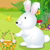 play Cute Bunny Day Care