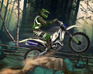 play New Motocross Forest Challenge