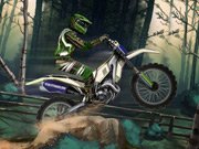 play Motocross Forest Challenge