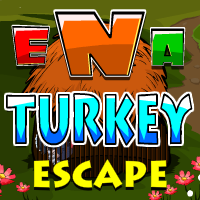 play Ena Turkey Escape