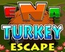 play Ena Turkey Escape