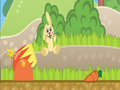 play Rabbit Launcher