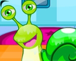 play Snail Care