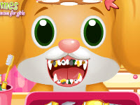 play Pet Dentist & Doctor