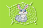 play Rabbit Trap