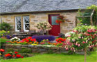 play Cottage Garden Hidden Alp