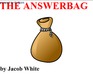 play The Answer Bag