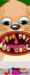 play Cat Dental Care