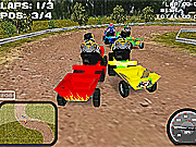 play Lawnmower Racing 3 D