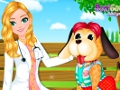 Pet Doctor Vet Care