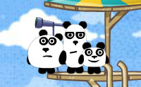 3 Pandas In Brazil