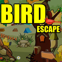 play Bird Escape