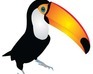 play Flappy Tucan!