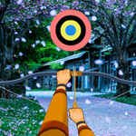play Hidden Target-Park